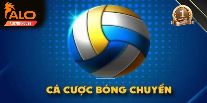 Các bước chơi cược bóng chuyền đơn giản tại Alo789